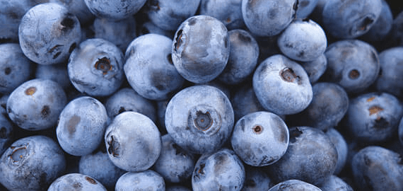 Southern Produce blueberries